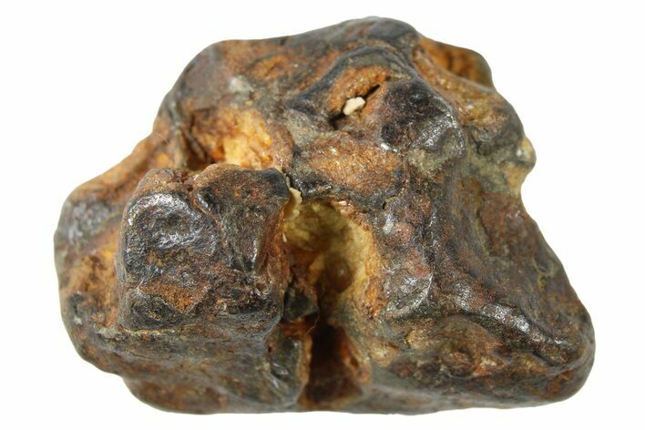 Sericho Pallasite Meteorite ( g) Metal Skeleton #267127